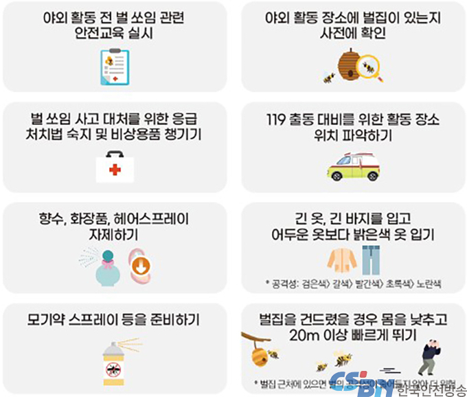 벌 쏘임 사고, 9월·50~60대에 가장 많이 발생…쇼크사 위험도
