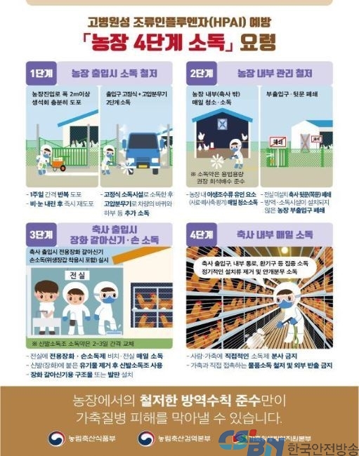 경기 안성 산란계 농장,H5형 고병원성 조류인플루엔자 확진