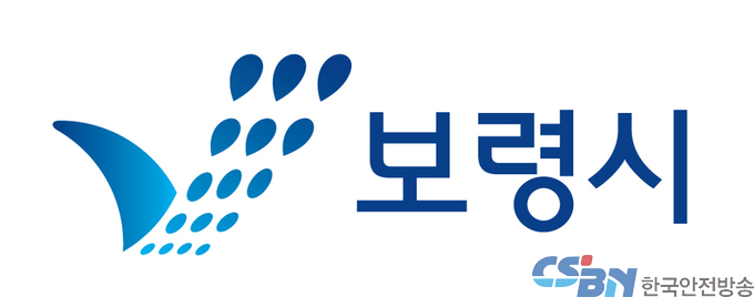 보령시